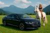 used vehicle
VW

